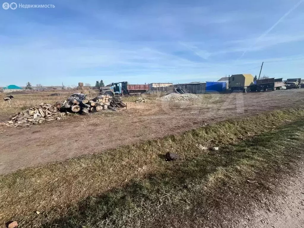 Участок в Тюменская область, Исетский муниципальный округ, село ... - Фото 2