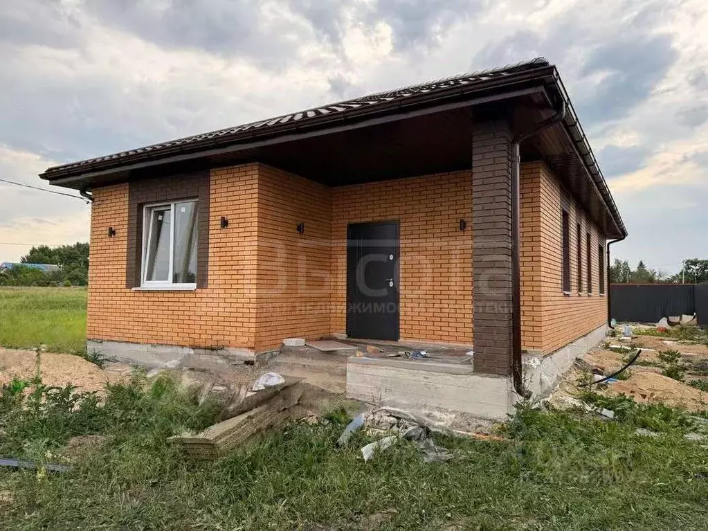 Дом в Воронежская область, с. Новая Усмань 103 (94 м) - Фото 0