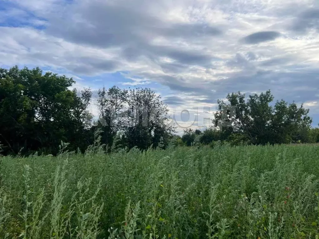 Участок в Новосибирская область, Ордынский район, с. Красный Яр ул. ... - Фото 2