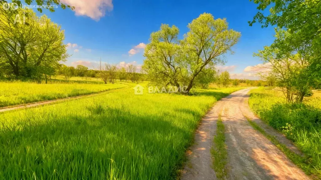 Участок в Воронеж, Речной переулок, 17 (7 м) - Фото 2