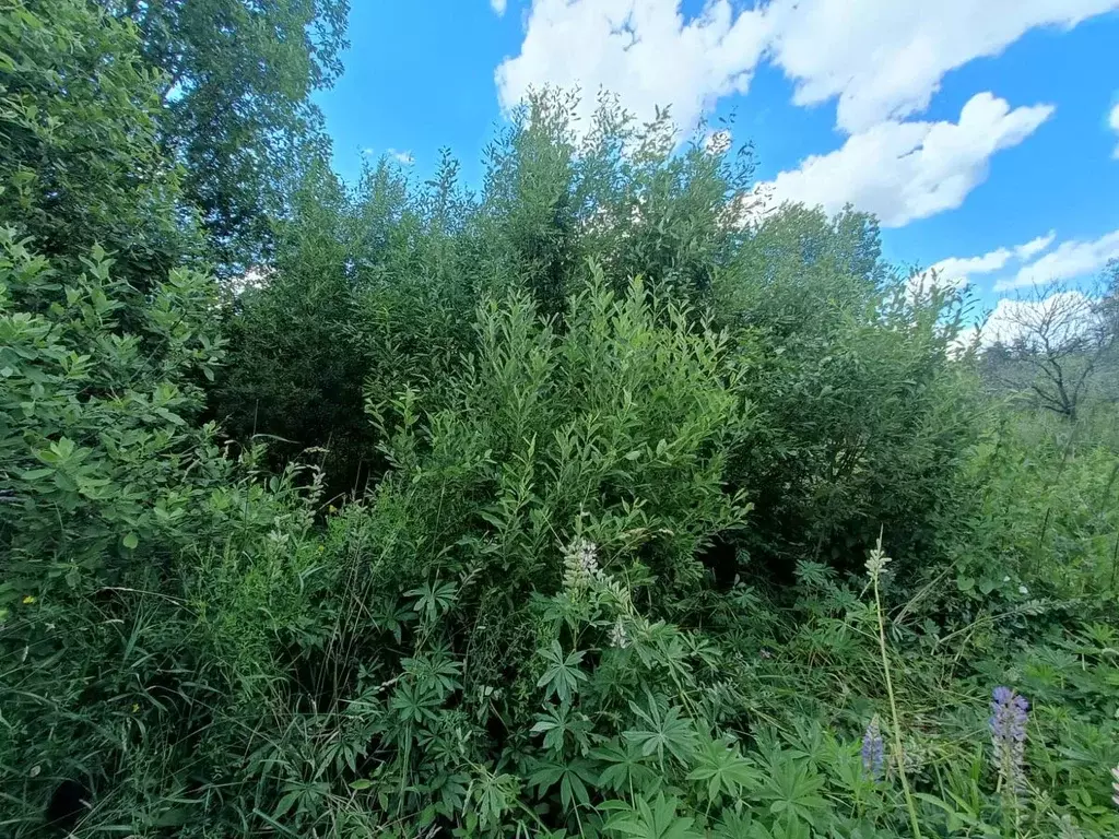 Участок в Ленинградская область, Гатчинский район, Вырица городской ... - Фото 1