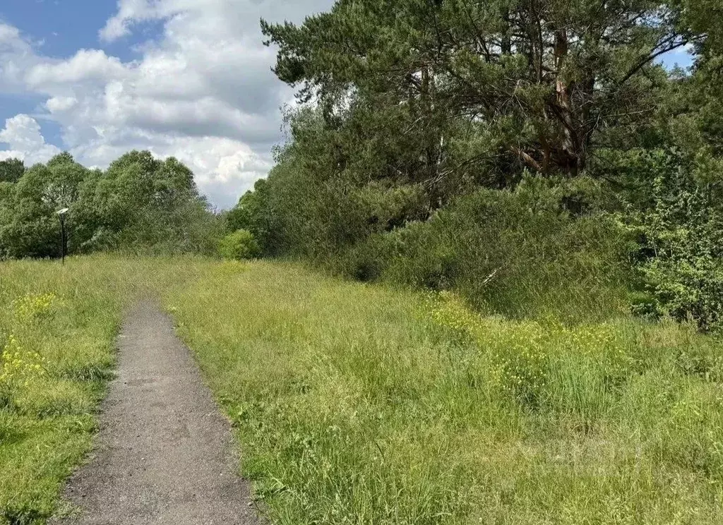 Участок в Московская область, Домодедово городской округ, д. Одинцово  ... - Фото 1