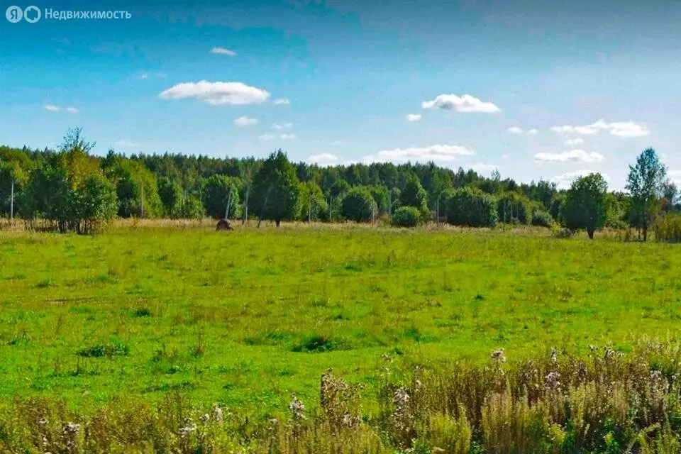 Участок в Московская область, городской округ Клин, коттеджный поселок ... - Фото 1