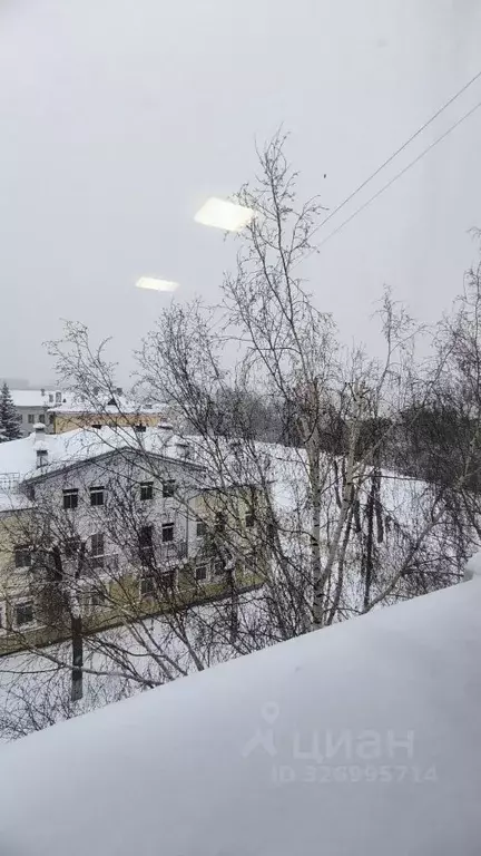 Офис в Владимирская область, Владимир ул. Столетовых, 9 (15 м) - Фото 1