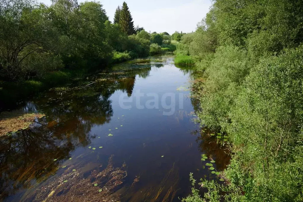 Участок в Псковская область, Опочецкий муниципальный округ, д. ... - Фото 1
