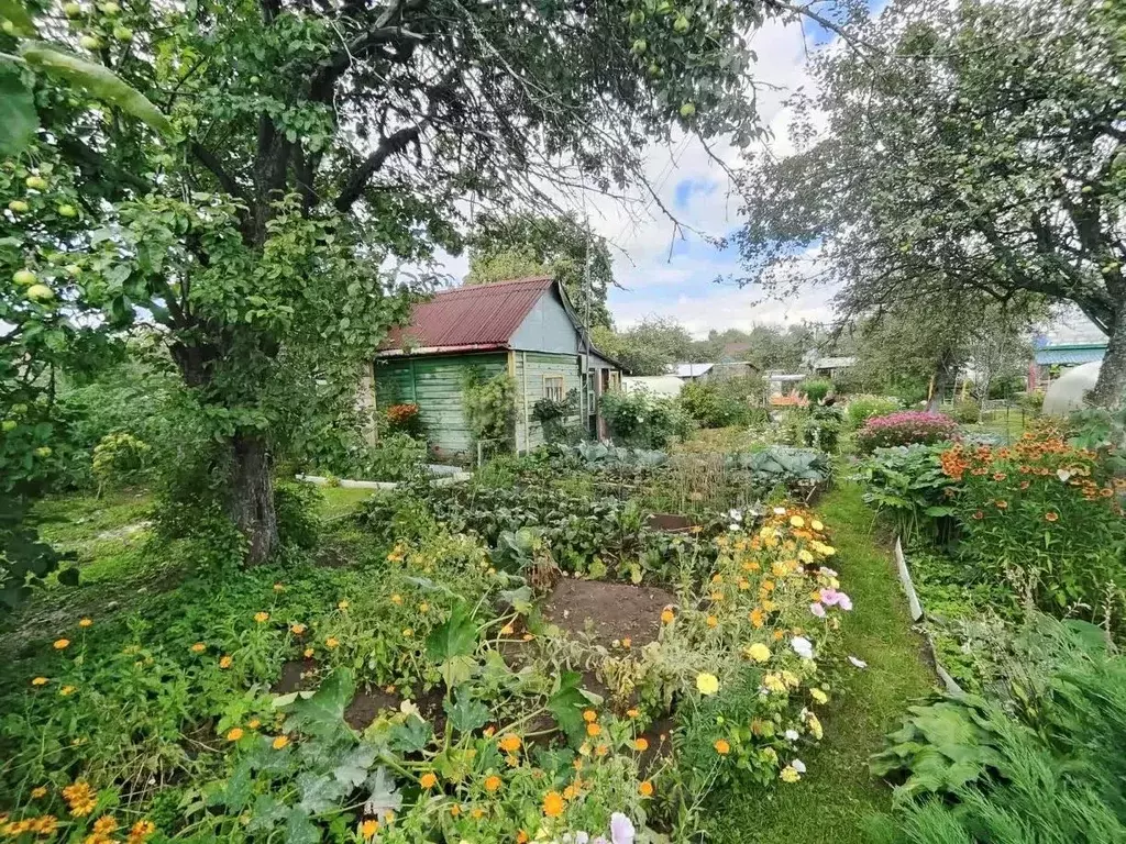 Участок в Ярославская область, Ярославль Имени Мичурина СНТ, 2 сад, ... - Фото 2