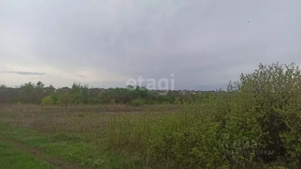Участок в Белгородская область, Белгородский муниципальный округ, ... - Фото 2