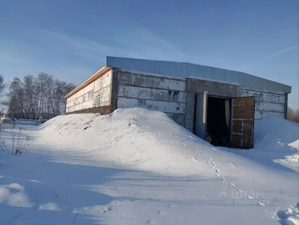 Склад в Омская область, Любинский район, с. Боголюбовка Зеленая ул., ... - Фото 1