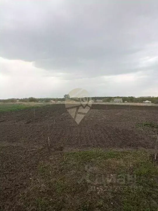 Участок в Белгородская область, Старооскольский городской округ, с. ... - Фото 2