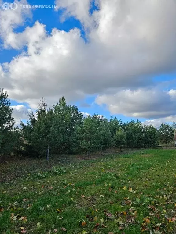 Участок в село Братовщина, территория Братошино, 197 (7 м) - Фото 1