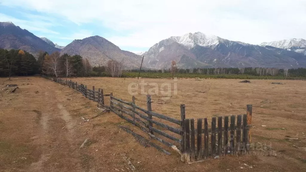 Участок в Бурятия, Тункинский район, с. Тагархай ул. Тулаева (33.0 ... - Фото 0