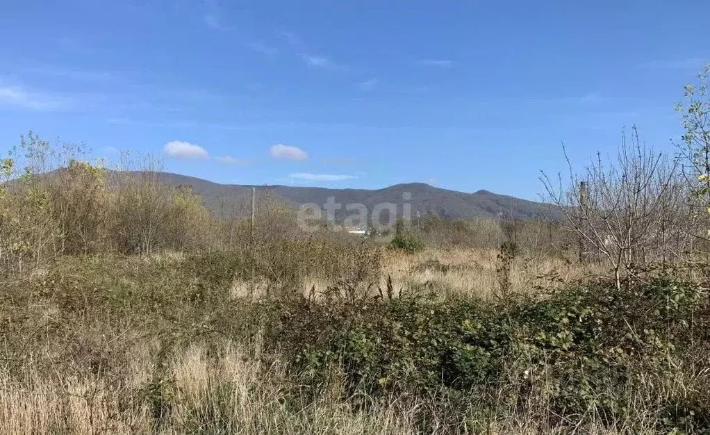 Участок в Краснодарский край, Новороссийск городской округ, ... - Фото 0