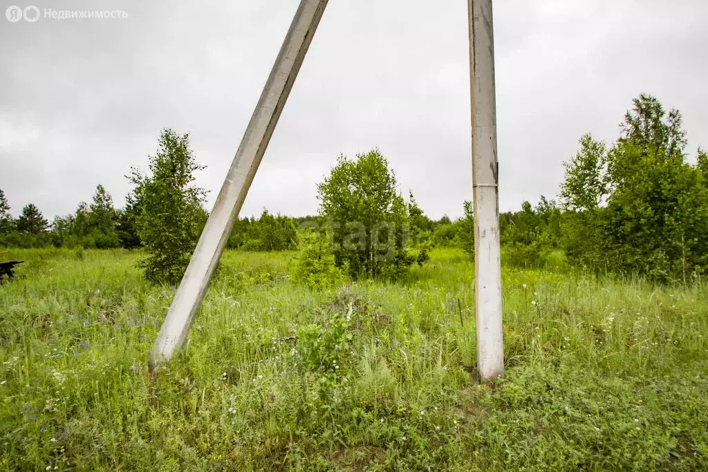 Участок в Тюменский район, ТСН СО Надежда (10 м) - Фото 1