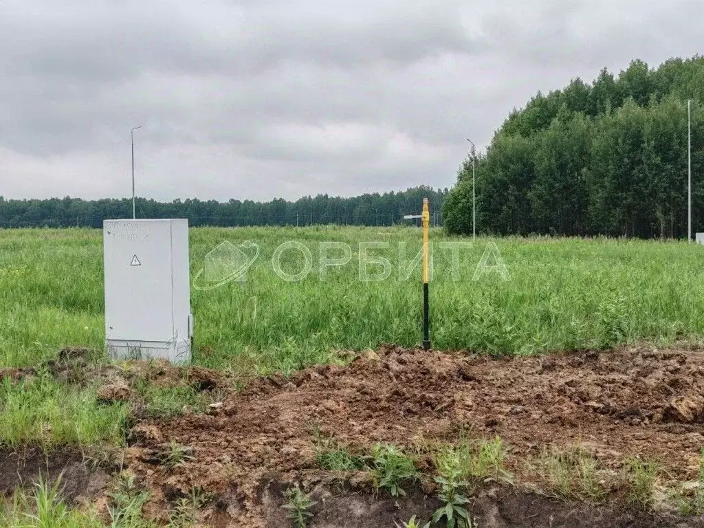 Участок в Тюменская область, Тюменский район, Онегин кп ул. Евгения ... - Фото 1