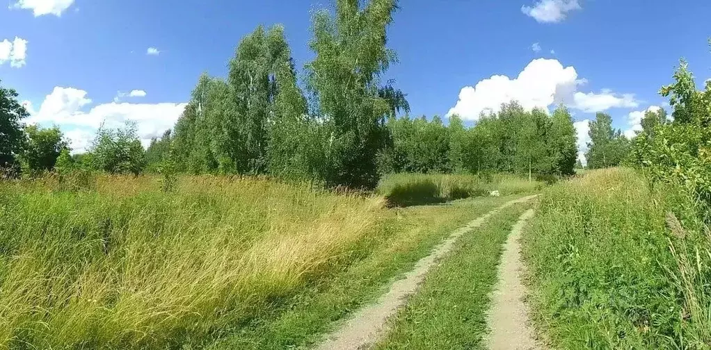 Участок в Московская область, Ступино городской округ, д. Мякинино ул. ... - Фото 1