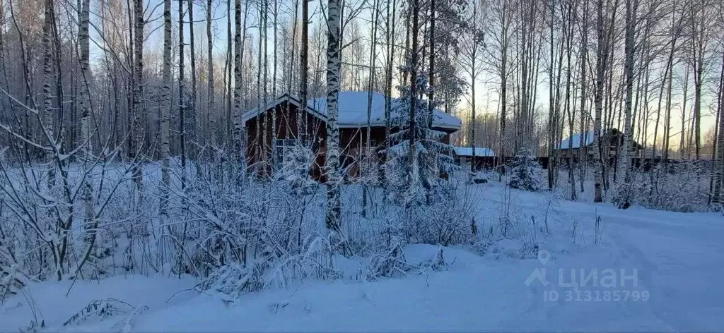 Дом в Ленинградская область, Всеволожское городское поселение, Дачное ... - Фото 0