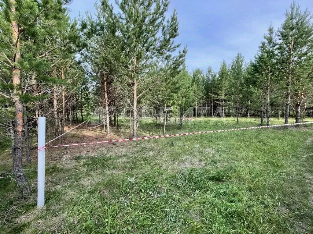 Участок в Свердловская область, Тугулым пгт ул. Березовая, 16 (12.0 ... - Фото 2