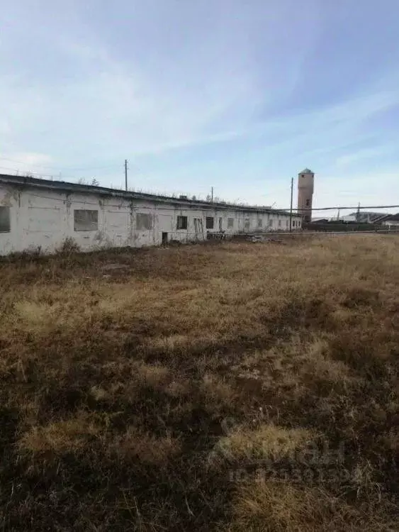 Производственное помещение в Иркутская область, Эхирит-Булагатский ... - Фото 1