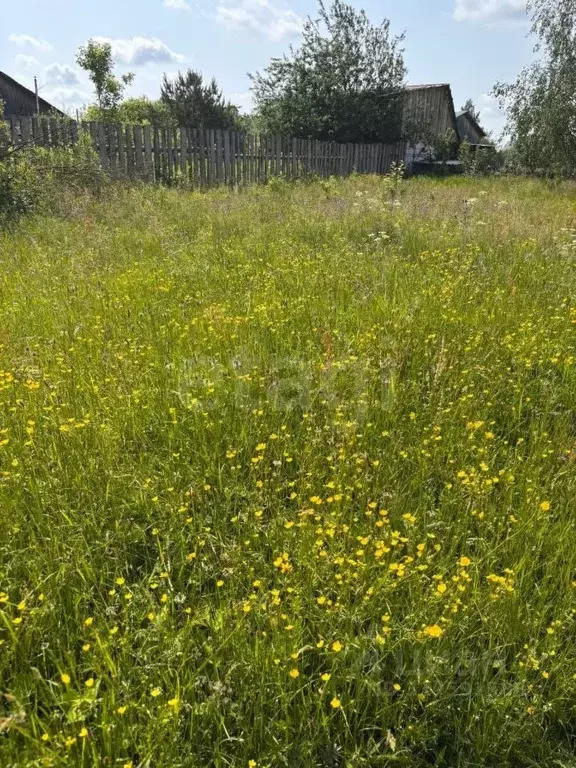 Участок в Нижегородская область, Выкса городской округ, Виля рп, пос. ... - Фото 1