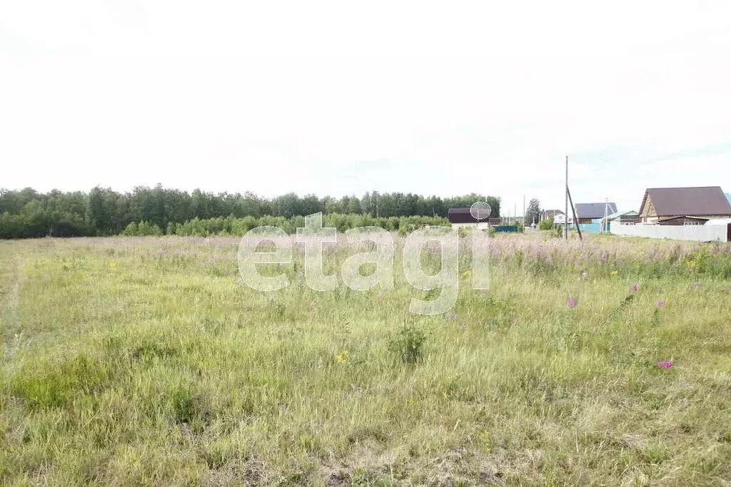 Участок в Тюменская область, Ярковский муниципальный округ, село ... - Фото 1