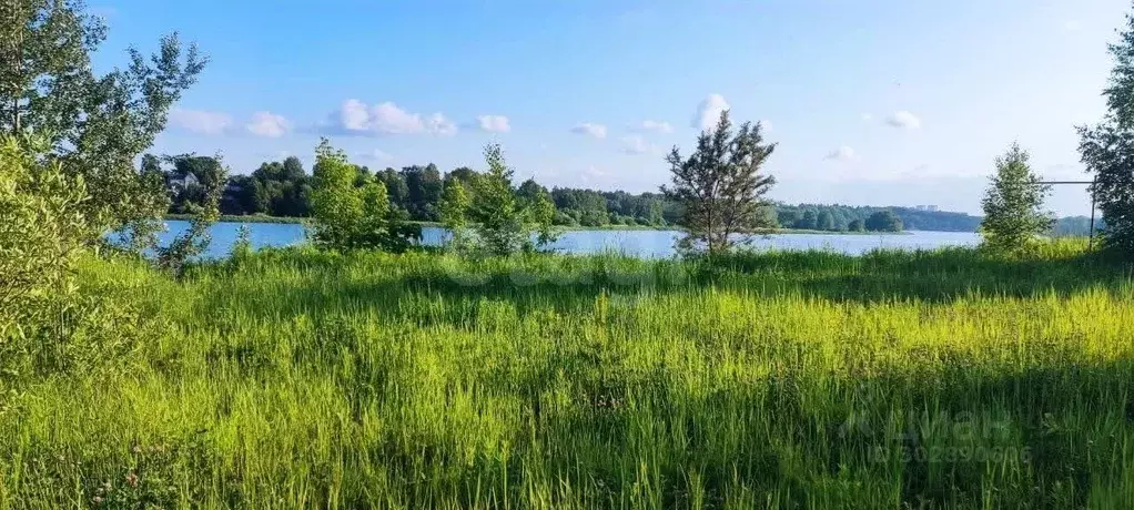 Участок в Московская область, Щелково городской округ, пос. Образцово ... - Фото 1