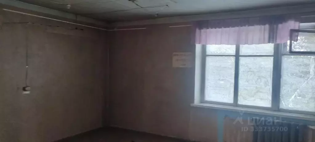 Помещение свободного назначения в Камчатский край, Елизовский ... - Фото 1