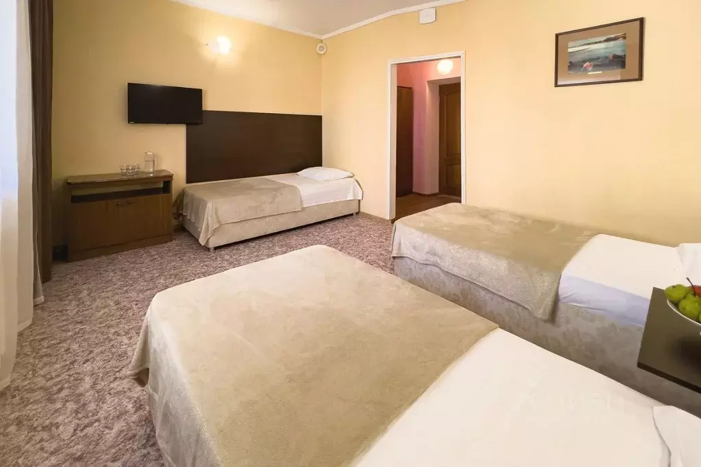 Комната Краснодарский край, Анапа Таманская ул., 24Б (19.0 м) - Фото 1