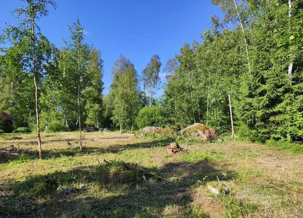 Участок в Ленинградская область, Выборгский район, Советское городское ... - Фото 1