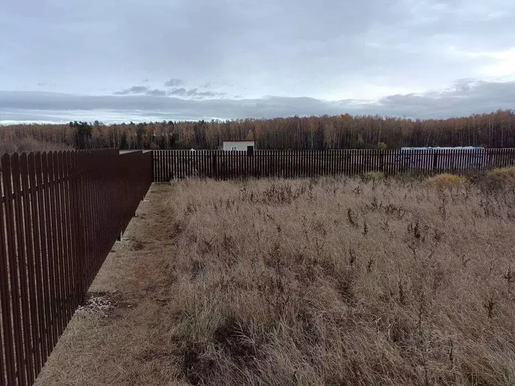 Участок в Владимирская область, Собинский муниципальный округ, Новое ... - Фото 1