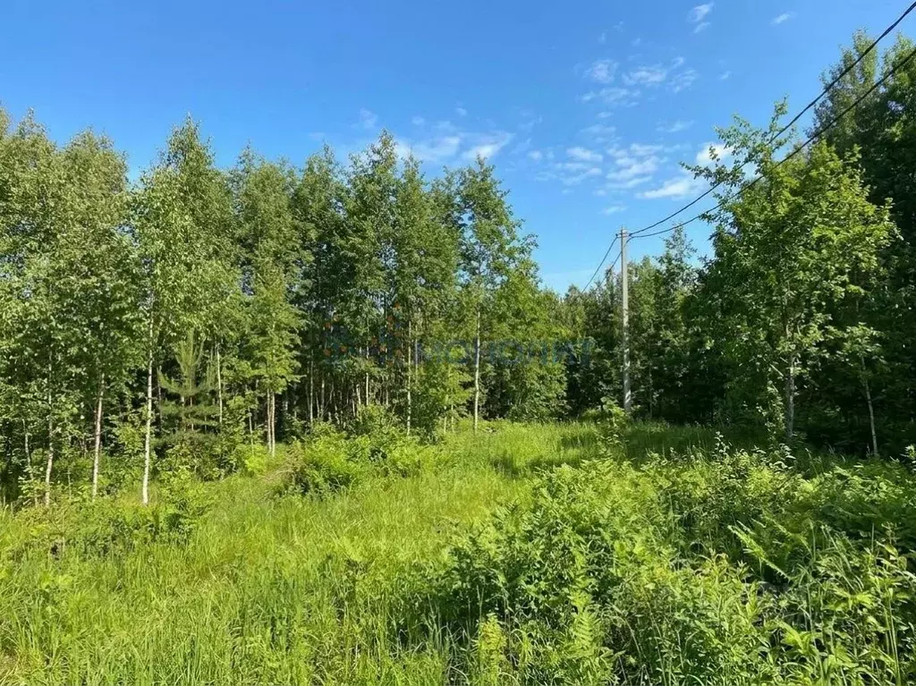 Участок в Нижегородская область, Богородский муниципальный округ, д. ... - Фото 2