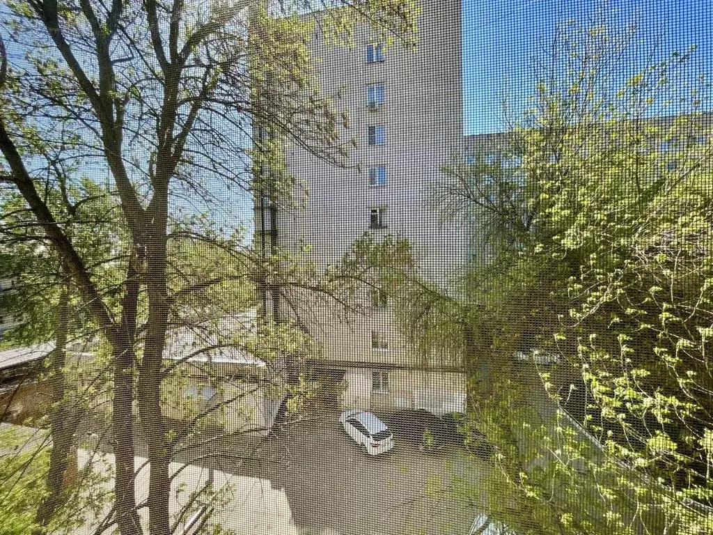 Комната Самарская область, Тольятти ул. Мира, 50 (11.0 м) - Фото 1