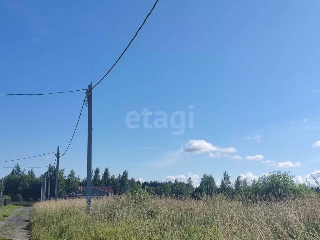 Участок в Ленинградская область, Всеволожский район, Романовское ... - Фото 1