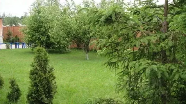 Дом в Московская область, Балашиха городской округ, д. Черное ул. ... - Фото 0