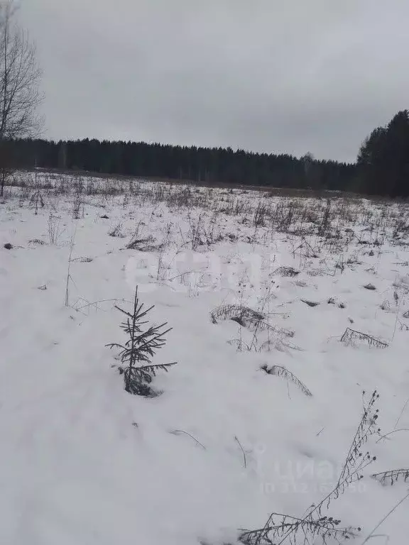 Участок в Кировская область, Киров городской округ, д. Гуси  (12.0 ... - Фото 1