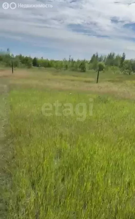 Участок в Республика Саха (Якутия), Якутск (765 м) - Фото 1