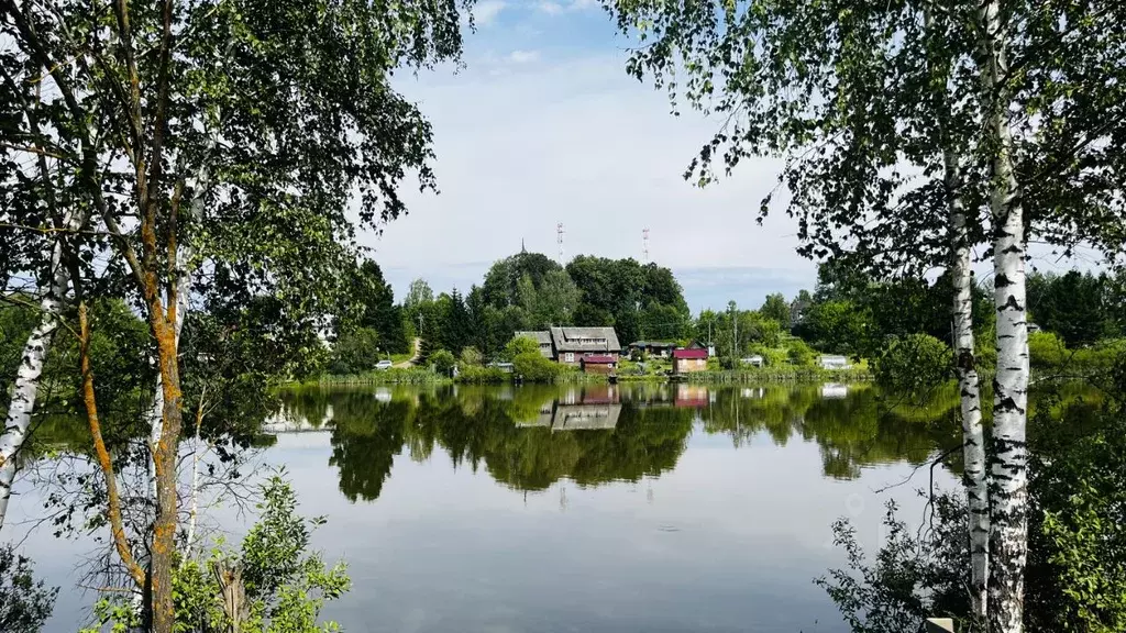 Участок в Московская область, Пушкинский городской округ, Софрино пгт ... - Фото 2