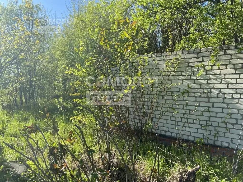Участок в Марий Эл, Медведевский район, Сидоровское с/пос, Подборное ... - Фото 2