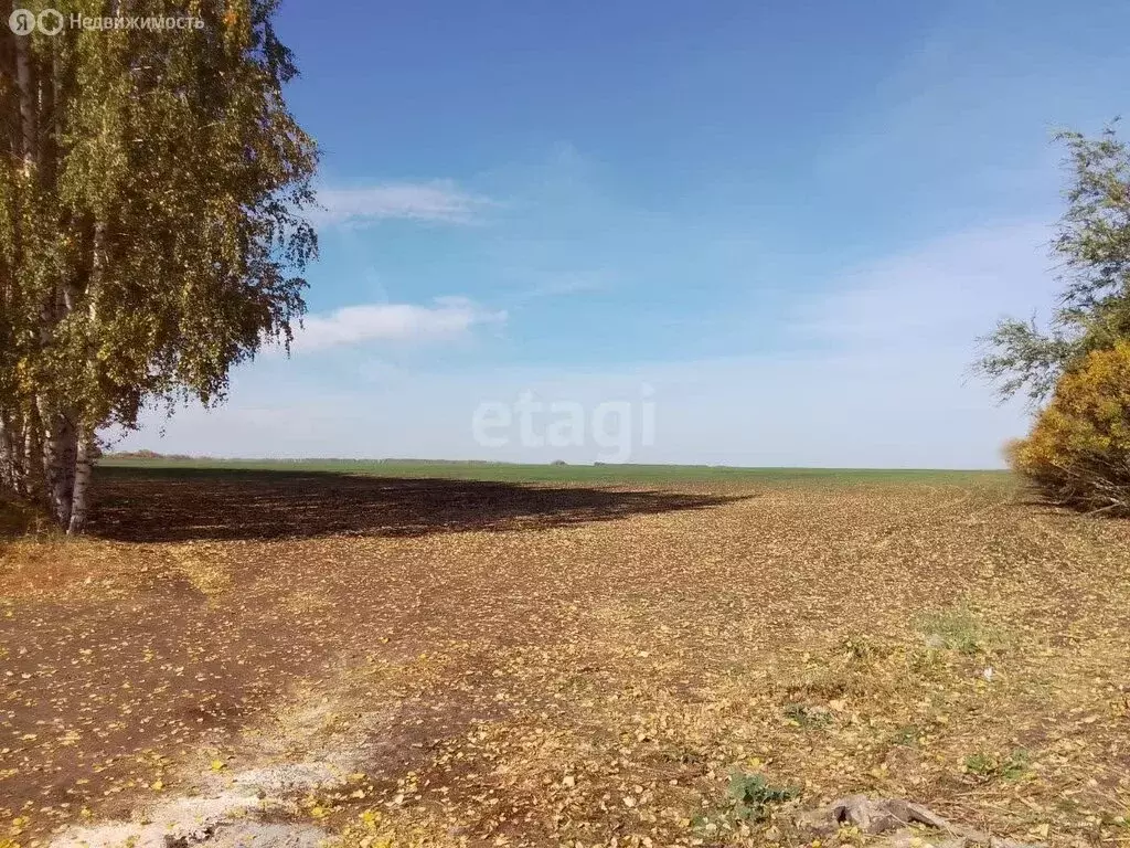 Участок в Ульяновский район, посёлок Тимирязевский (236 м) - Фото 0