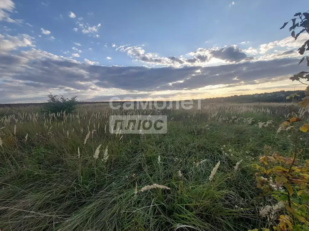 Участок в Курская область, Курский район, Брежневский сельсовет, д. ... - Фото 1