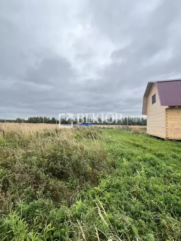 Участок в Костромская область, Кострома ул. Родная (13.2 сот.) - Фото 1