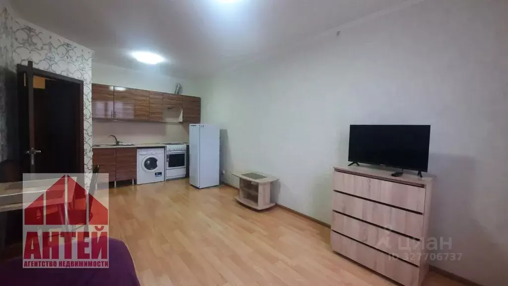 1-к кв. Нижегородская область, Нижний Новгород д. Анкудиновка, ул. ... - Фото 2