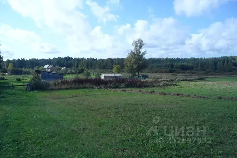 Участок в Псковская область, Гдовский район, Самолвовская волость, д. ... - Фото 2