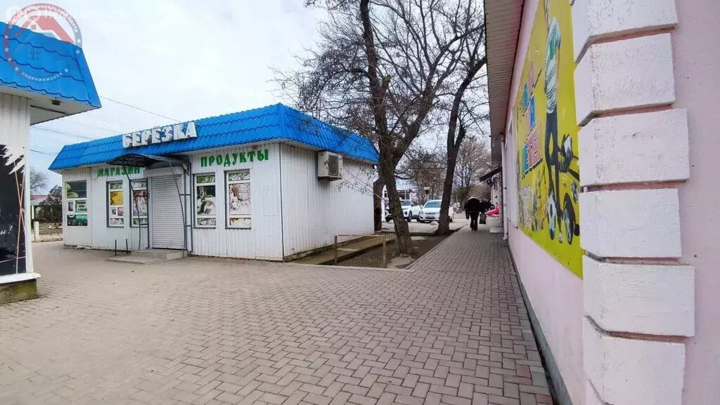 Торговая площадь (38.9 м) - Фото 1