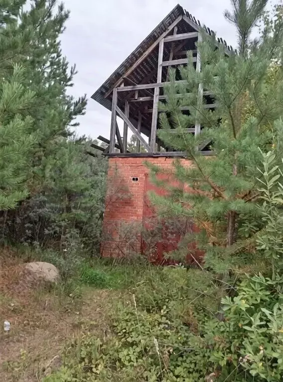 Участок в Томская область, Шегарский район, пос. Победа Сосновая ул., ... - Фото 1