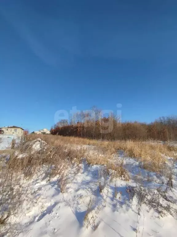 Участок в Амурская область, Благовещенский район, с. Чигири ул. ... - Фото 1