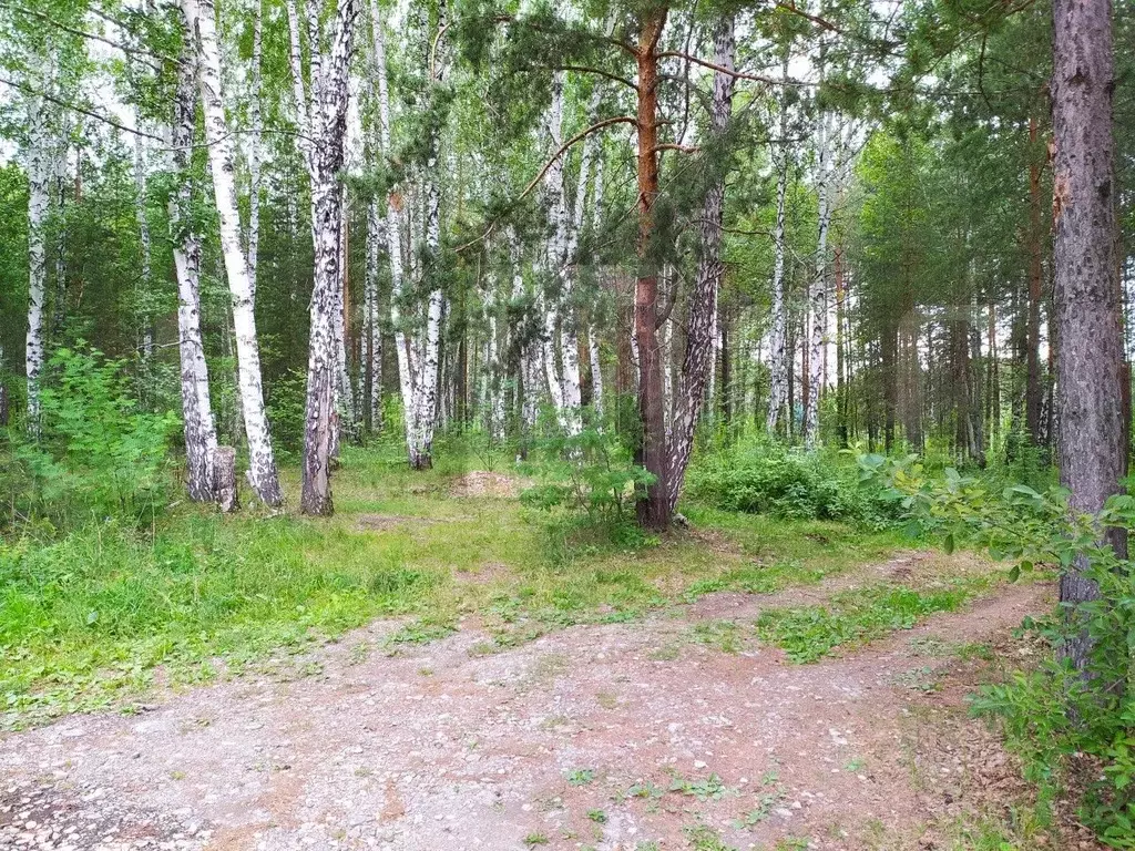 Участок в Свердловская область, Белоярский городской округ, с. ... - Фото 0