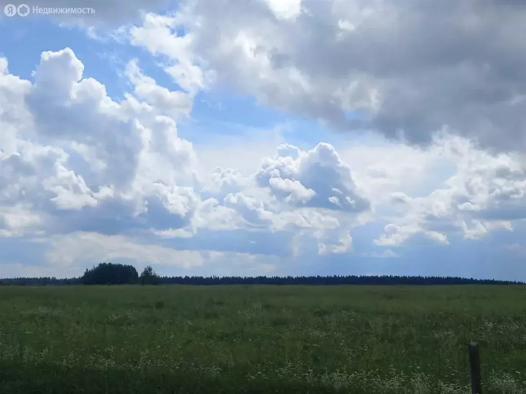 Участок в Ленинградская область, Гатчинский муниципальный округ, ... - Фото 1