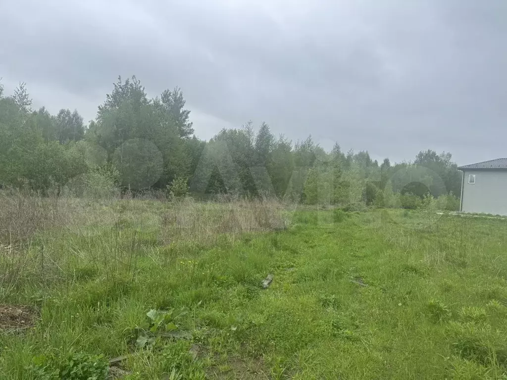 Участок 11 сот. (ИЖС) - Фото 1