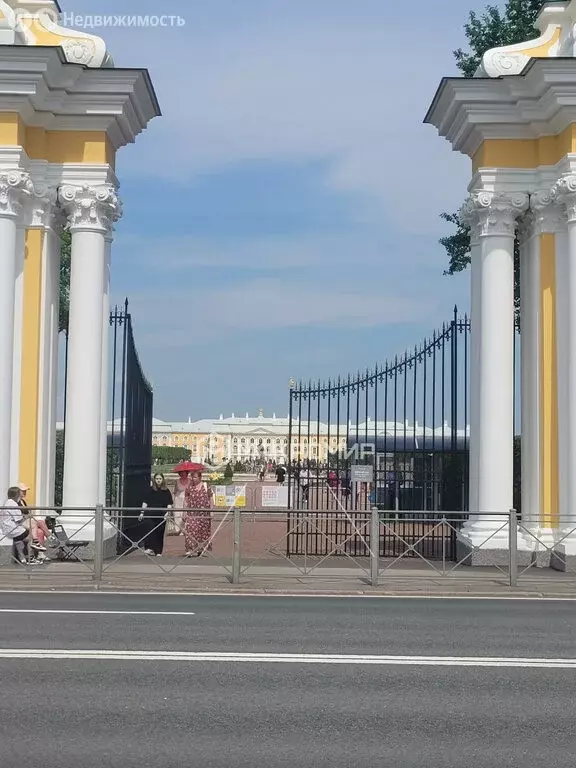 Участок в Петергоф, Калининская улица, 3 (70 м) - Фото 0
