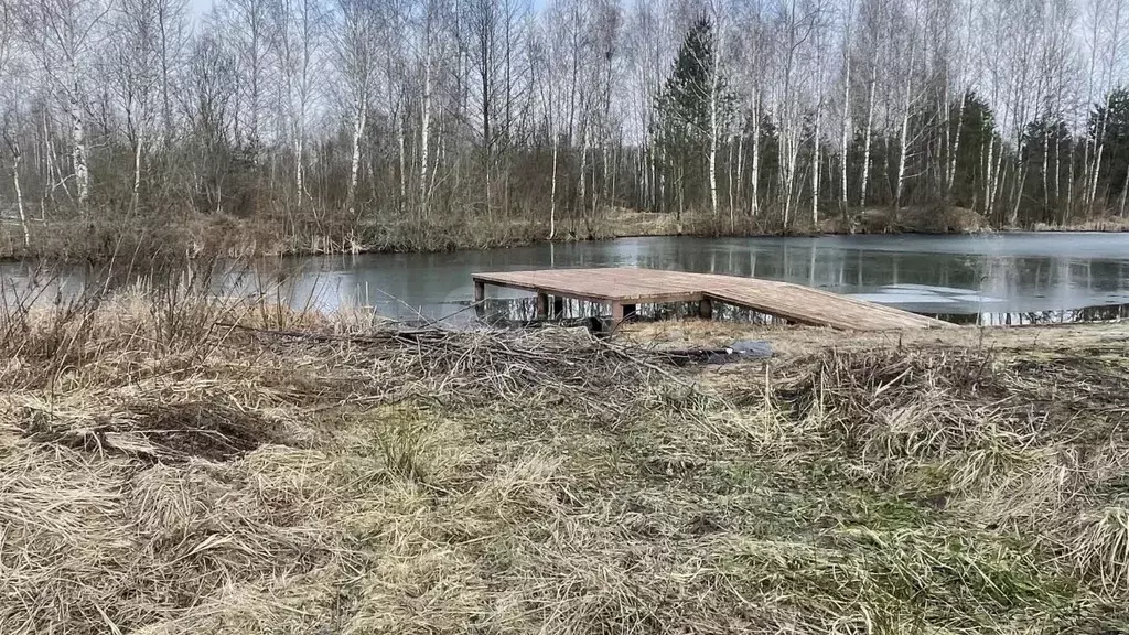 Участок в Брянская область, Унеча Рассвет коллективное садоводческое ... - Фото 1